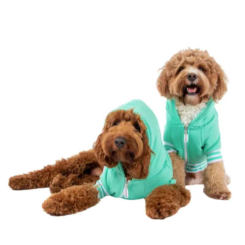 Big & Little Dogs Hoodie Dog Jumper