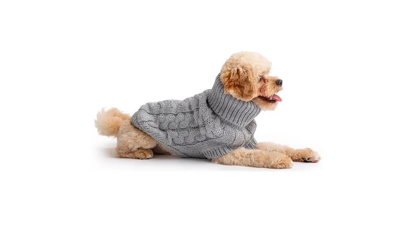 Chunky Cozy Ribbed Dog Sweater