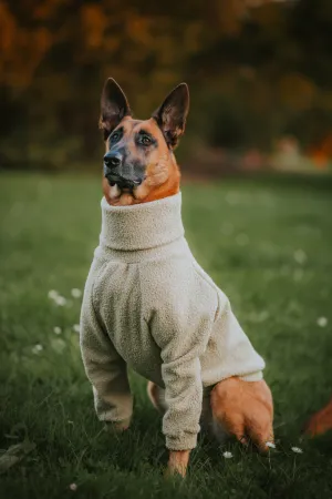 Sage Teddy Dog Turtleneck