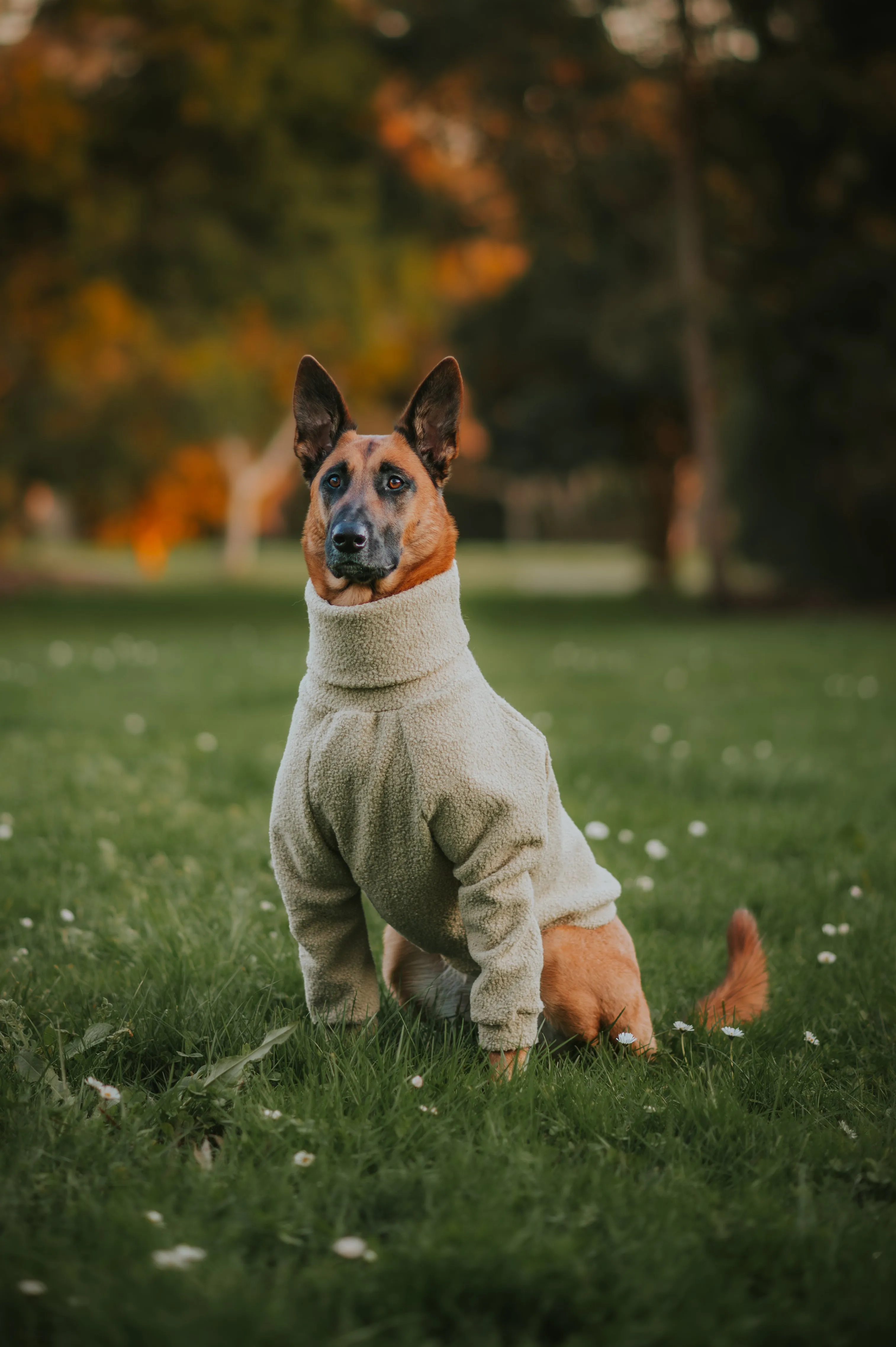 Sage Teddy Dog Turtleneck